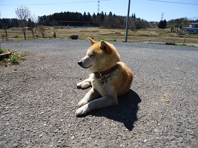 2012_04120035.jpg