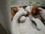 iede5_20130412151123.jpg