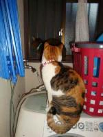 iede6_20130412151124.jpg