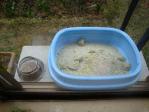 iede8_20130412151124.jpg