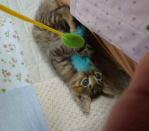 natukisn_20110821092914.jpg