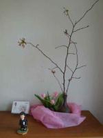 sigatu1_20130329115624.jpg