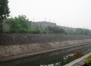 120321_bingmayong1.jpg