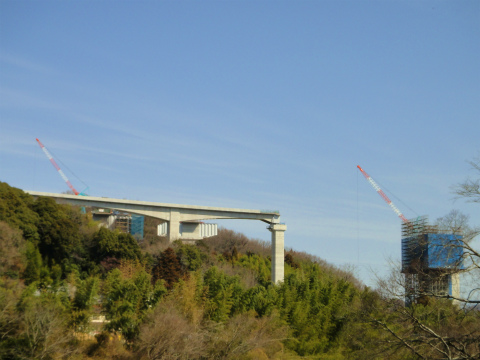 DSC08033.jpg