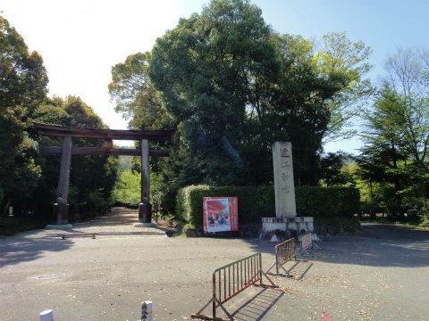 DSC08372.jpg