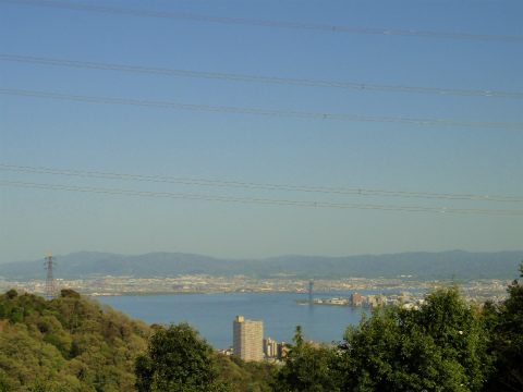 DSC08383.jpg