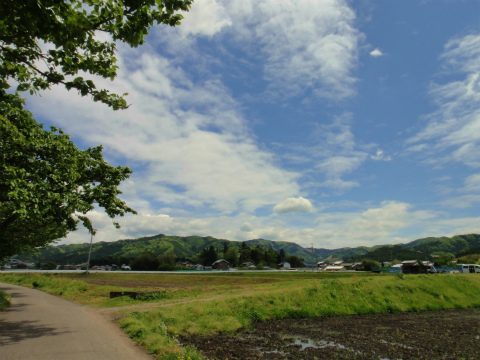 DSC08401.jpg