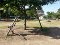 20130512_075312.jpg
