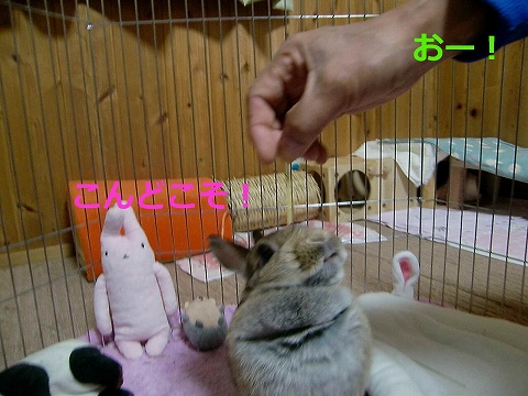 055konndokoso.jpg