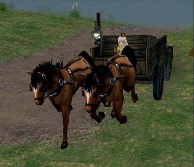 mabinogi_2011_10_01_043.jpg