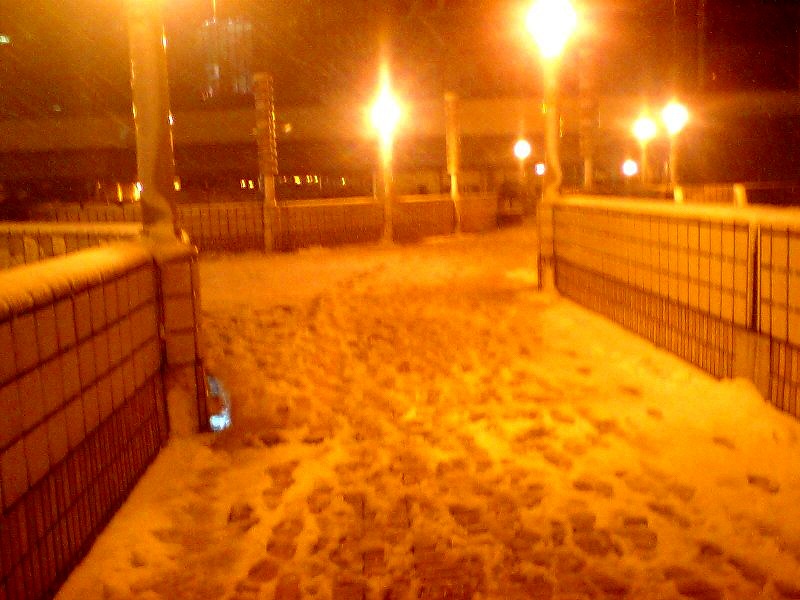 2010020103.jpg