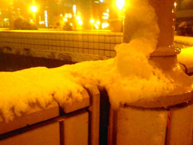 2010020104.jpg
