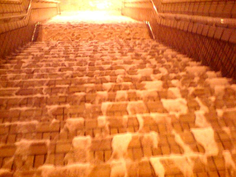 2010020105.jpg