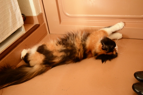110918_4.jpg