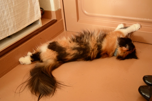 110918_5.jpg