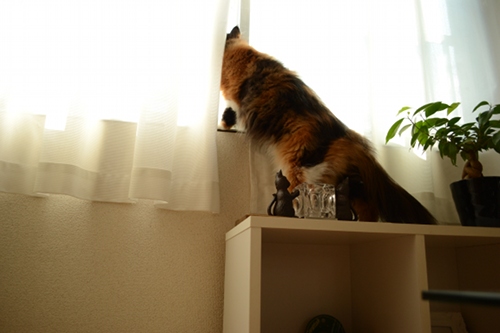 110919_1.jpg