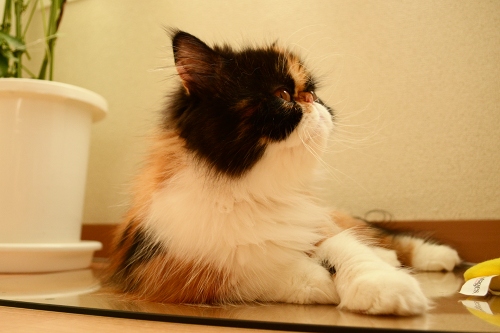 110919_4.jpg