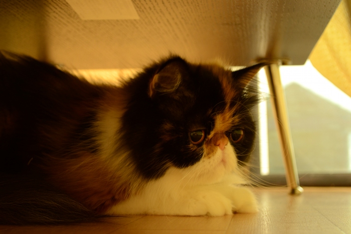 110922_4.jpg