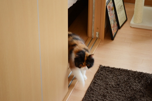 110929_4.jpg