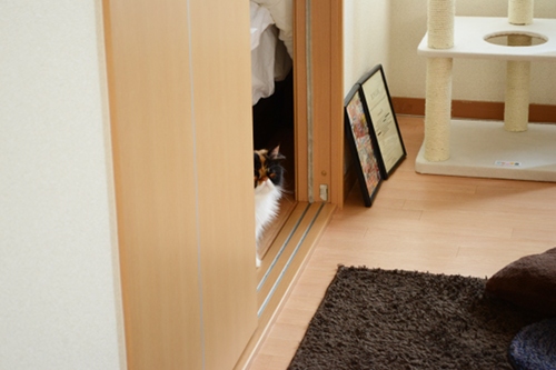 110929_5.jpg