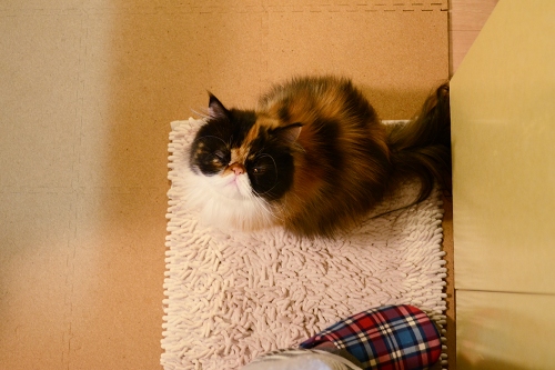 111004_1.jpg