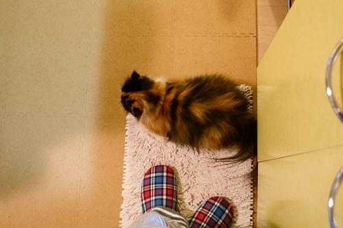 111004_3.jpg