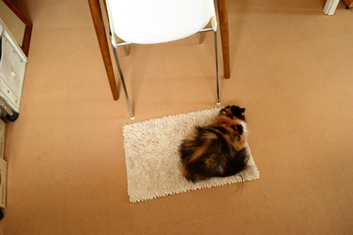 111004_4.jpg