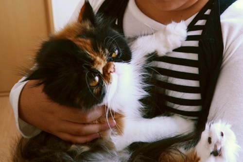 111009_1.jpg