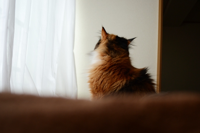 111015_1.jpg