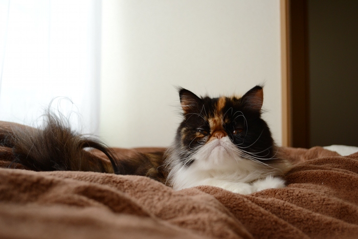 111015_2.jpg