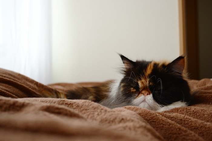 111015_3.jpg