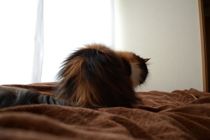 111015_4.jpg