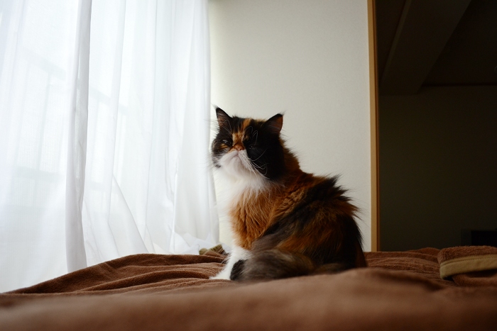 111015_5.jpg