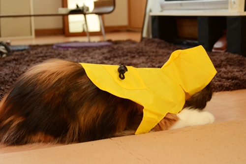 111020_1.jpg