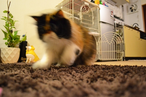 111024_5.jpg