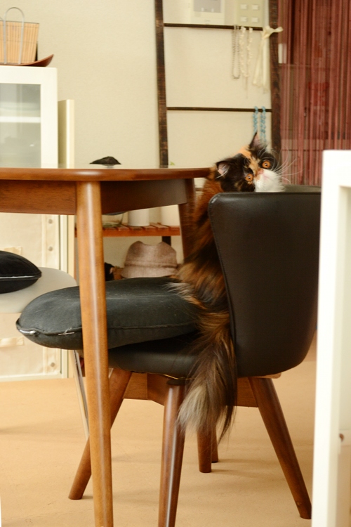 111026_3.jpg
