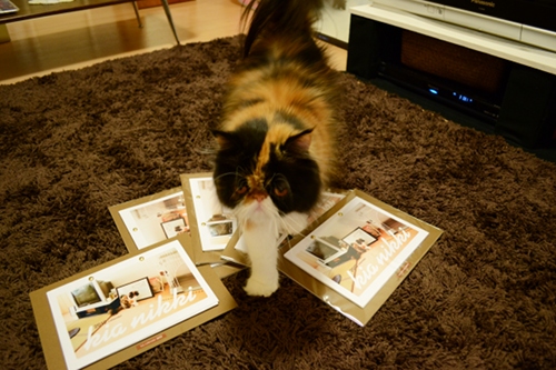 111027_3.jpg