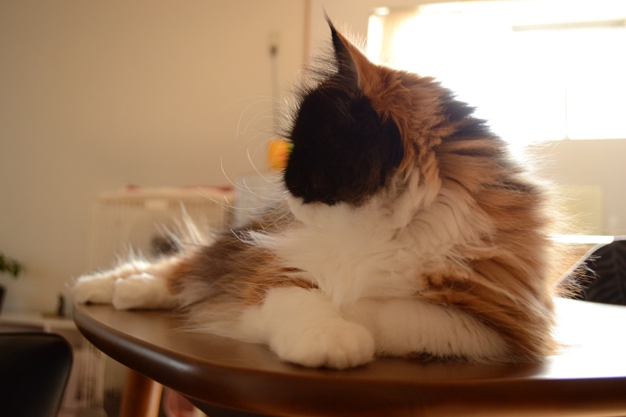 111115_5.jpg