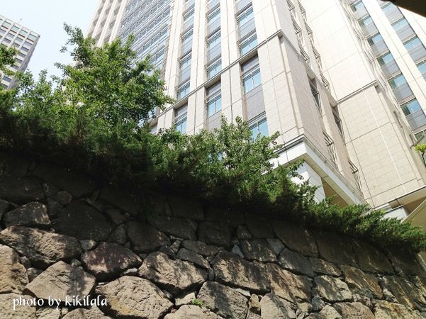 13-05-09文科省