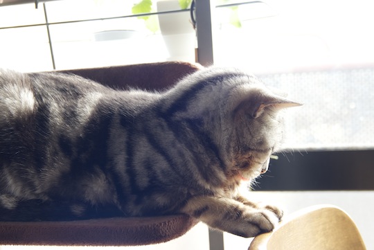 DSCF4138.jpg