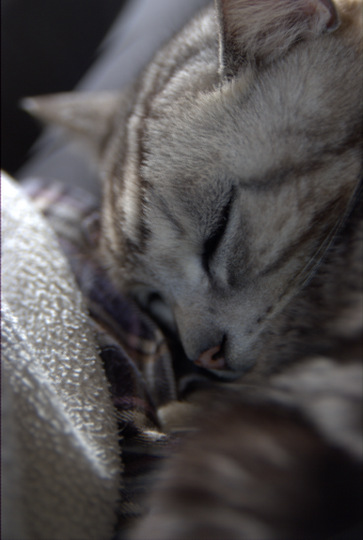 DSCF4267.jpg