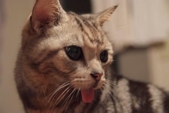 DSCF4549.jpg