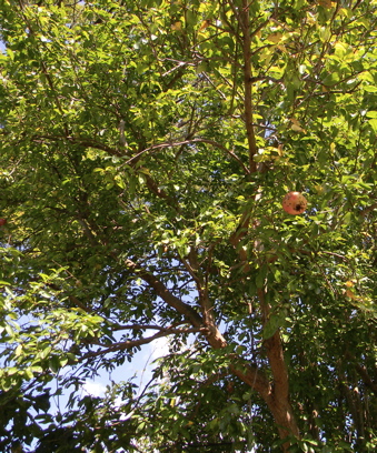DSCN0297.jpg