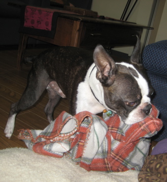 IMG_6752.jpg