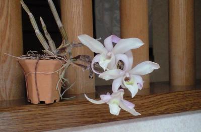20120429.jpg