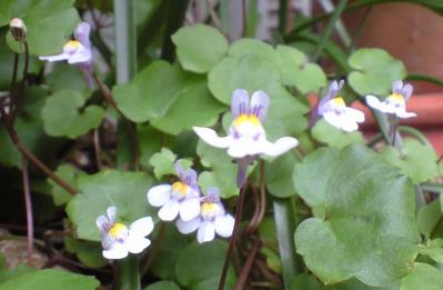20120425 (19)