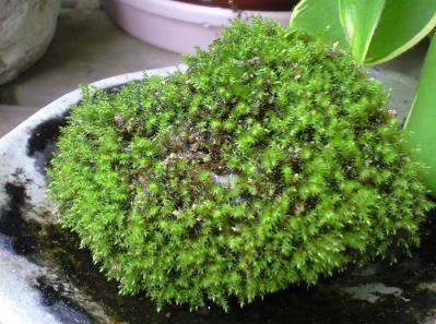20120425 (21)