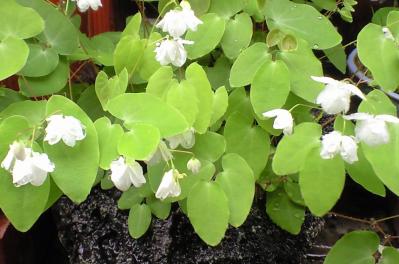 20120425 (5)