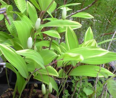 20120425 (3)