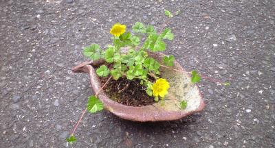 20120425 (2)